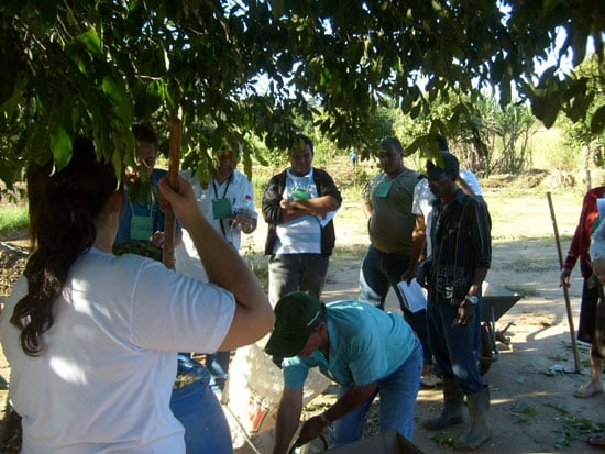 Emater apóia produtores em curso sobre produção agroecológica de hortaliças