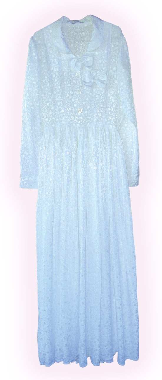 Meu vestido eternizado