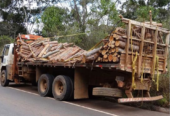 Madeira cai de carroceria de caminhão e atinge automóvel
