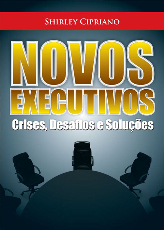 Executiva itabirana lança o livro: Novos executivos: crises, desafios e soluções