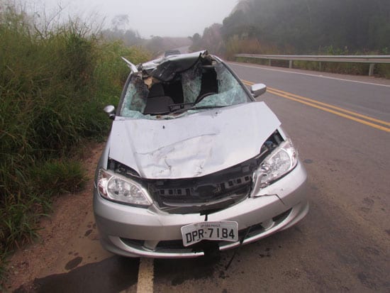 Honda Civic atropela cavalo e fica destruído