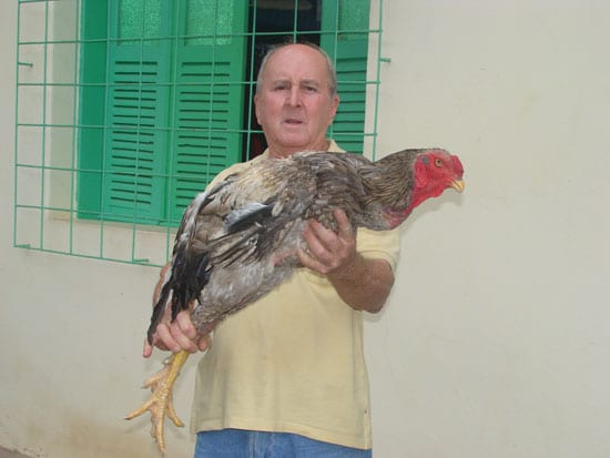 Gigantes de Pena