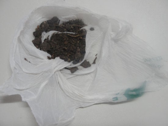 Polícia encontra maconha no Paço Municipal da Prefeitura de Itabira