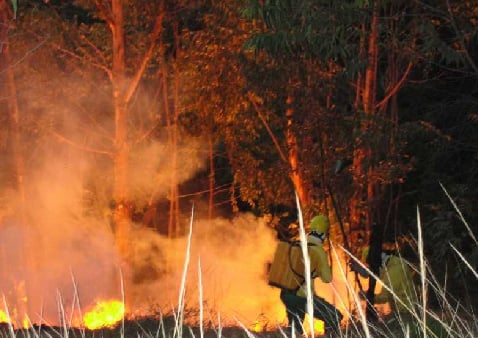 Adolescentes ateiam fogo em reserva ambiental no Pico do Amor