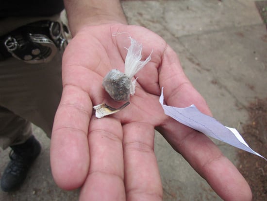 Jovens de 13 a 16 anos matam aula para fumar maconha em praça do Campestre