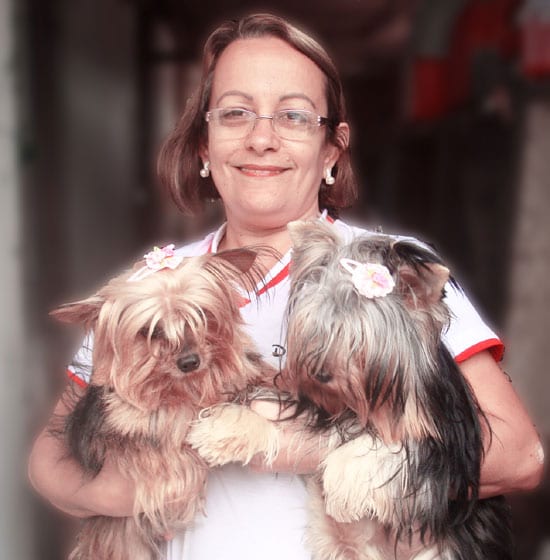 Cães por todo lado