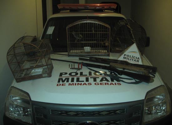 PM apreende armas, munições e pássaros na zona rural de Ferros