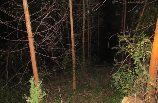 Monlevadense desaparecido é encontrado morto em São Gonçalo