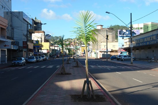 Prefeitura renova canteiro central da avenida João Pinheiro