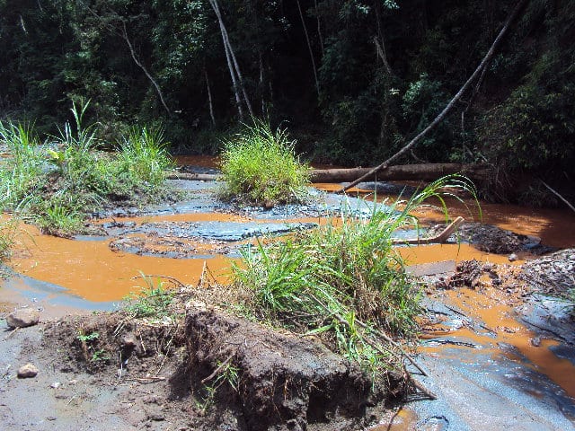 Polícia descobre garimpo clandestino dentro da área da Vale em Itabira