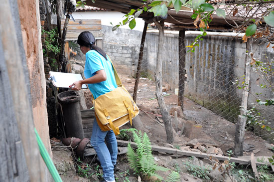 São Gonçalo sem focos de dengue