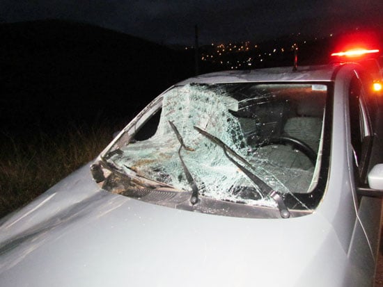 Cavalo é atropelado e carro fica destruído