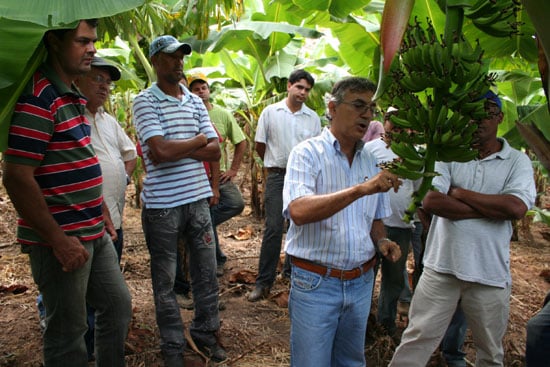 Em dia de campo, Prefeitura de São Gonçalo capacita produtores de banana