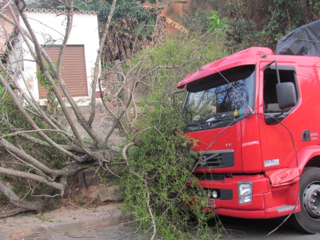 Caminhão carregado de madeira derruba árvore na rua Nova Era