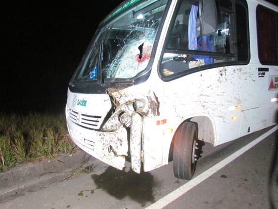 Micro-ônibus com 23 pacientes atropela e mata cavalo próximo a Itabira