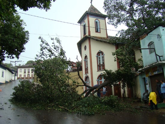Árvore centenária cai ao lado da Igrejinha do Rosário em Itabira