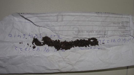 Adolescentes flagrados com maconha atrás da Escola Antônio Linhares