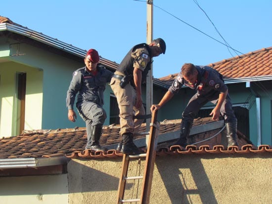 Vizinhos chamam polícia por causa de mau cheiro exalado de residência no Fênix
