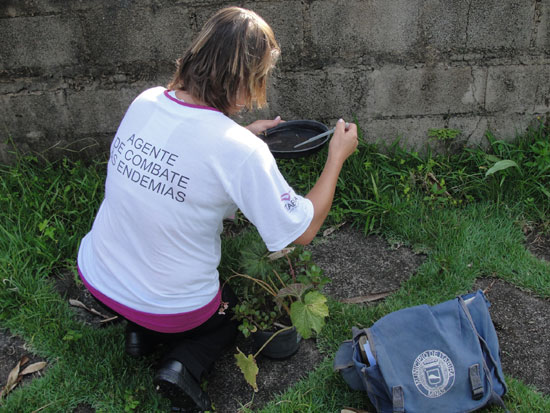 Itabira corre risco de ter epidemia de dengue