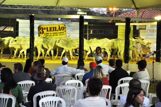 Sucesso no 3º Leilão de Gado de São Gonçalo