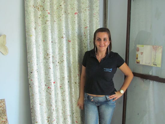 Telhados sustentáveis e de longa vida