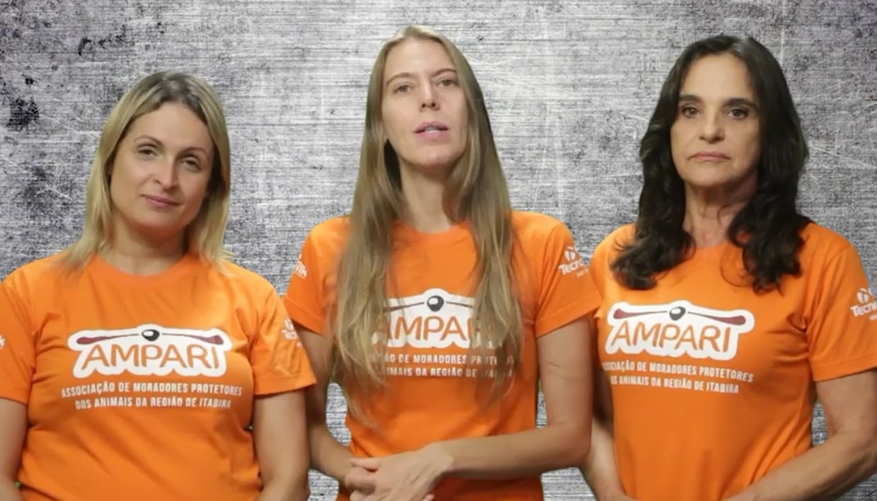 Após ameaças a voluntária, Ampari reforça campanha contra maus-tratos a animais em Itabira