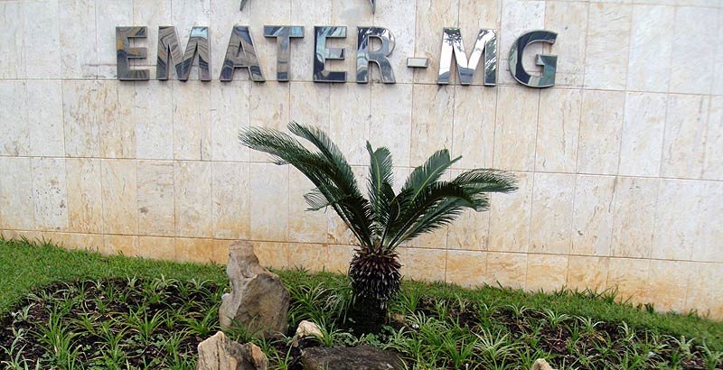 Concurso da Emater-MG será retomado após dois anos suspenso
