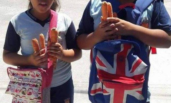 Virou motivo de piada: alunos de escolas municipais ganham kit com cenouras em comemoração à Páscoa