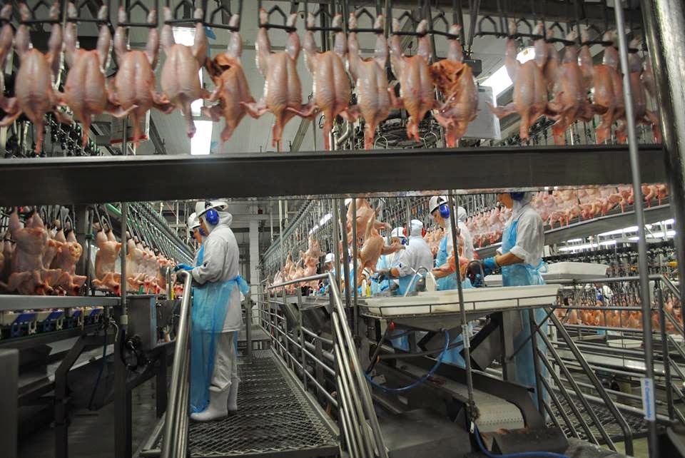 UE proíbe importação de 20 frigoríficos brasileiros a partir de amanhã