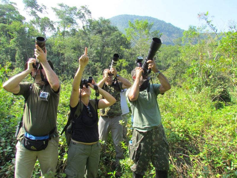 Mata do Limoeiro recebe projeto nacional de observação de pássaros