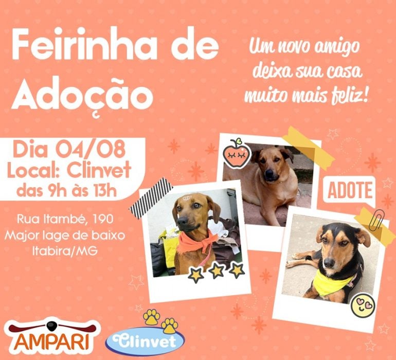 AMPARI realiza feira de adoção de cães neste sábado