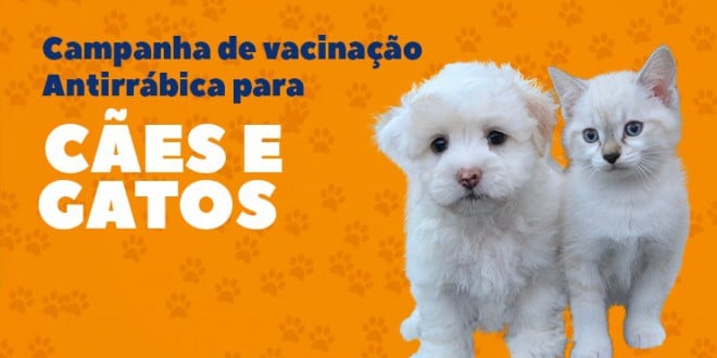 Dia D de vacinação antirrábica acontece hoje, 25 de agosto