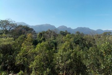 Movimento quer usar turismo para preservar Mata Atlântica