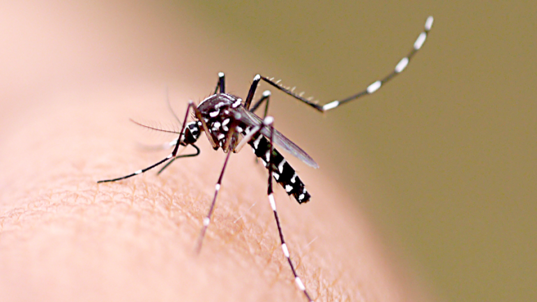 Itabira e região registram 441 casos de dengue em quatro meses