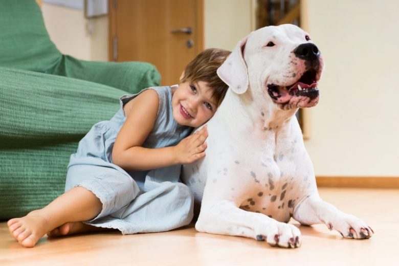 Animais de estimação: confira estas dicas antes de mudar de imóvel