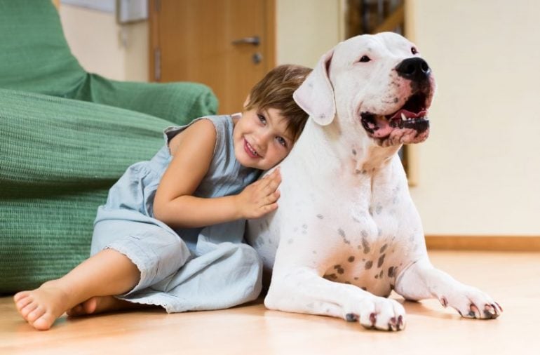Animais de estimação: confira estas dicas antes de mudar de imóvel