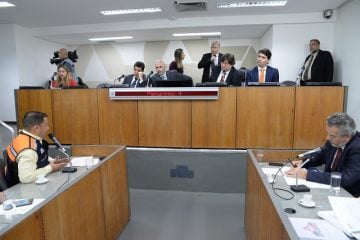 Para Defesa Civil, dificuldade da Vale em admitir riscos resultou na tragédia em Brumadinho
