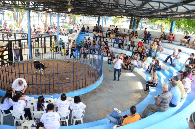3º Leilão de Gado do HNSD arrecada mais de R$ 9 mil