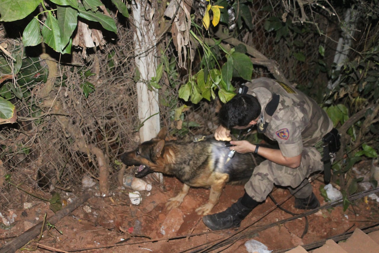 PM prende suspeitos de tráfico em Itabira e localiza arma com ajuda de cão adestrado