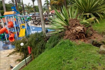 Criança atingida por árvore no Tauá passa por cirurgia e funcionária do clube continua no CTI