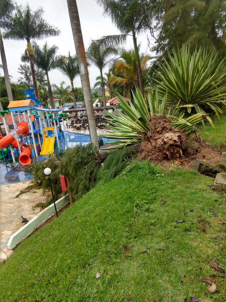 Criança atingida por árvore no Tauá passa por cirurgia e funcionária do clube continua no CTI