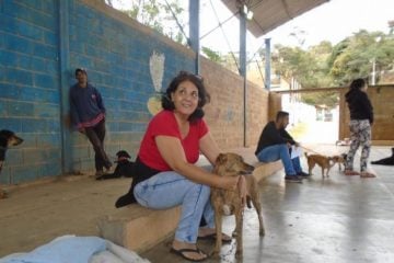 Castração de cães e gatos começa nesta quinta-feira em distritos de Itabira