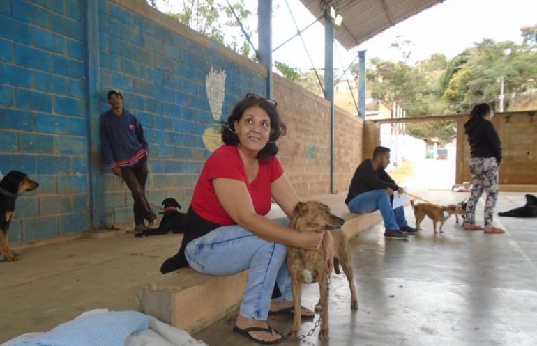 Castração de cães e gatos começa nesta quinta-feira em distritos de Itabira