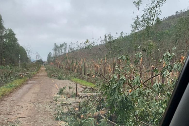 Ventania arranca árvores e assusta moradores do Serro e Sabinópolis – Veja Vídeo