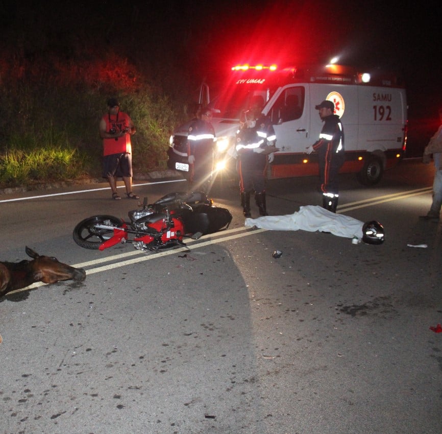 Jovem de 23 anos morre ao bater moto contra cavalo na MG-129