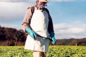 Entenda a polêmica envolvendo o uso de agrotóxicos