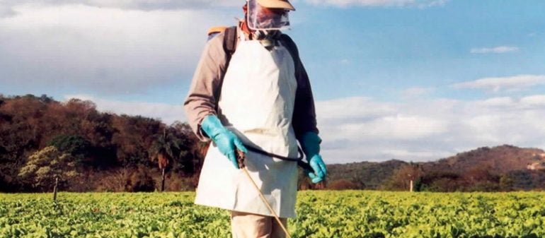 Entenda a polêmica envolvendo o uso de agrotóxicos