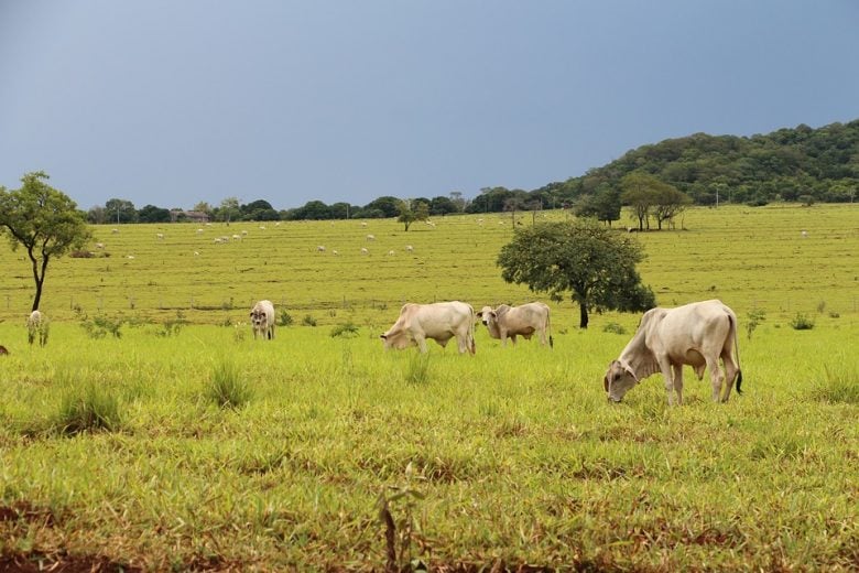 PIB brasileiro cresceu 0,3% de dezembro para janeiro, mostra FGV