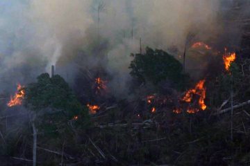 Quatro estados pedem ajuda das Forças Armadas para combate a incêndios na Amazônia