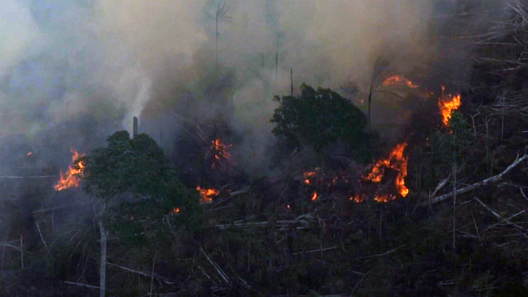 Quatro estados pedem ajuda das Forças Armadas para combate a incêndios na Amazônia